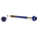JSM(ジェイエスエム) ヘキサゴンヘッド PVDチタンコート ボルト M6×100mm P1.0mm TA-JSM-BT030TI バイク