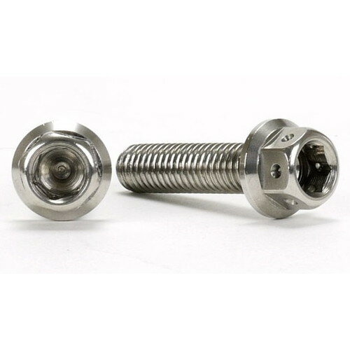 JSM バイク ヘキサゴンヘッド ボルト M6×25mm P1.0mm TA-JSM-BT020SI