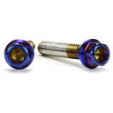 JSM(ジェイエスエム) ヘキサゴンヘッド PVDチタンコート ボルト M6×35mm P1.0mm TA-JSM-BT022TI バイク