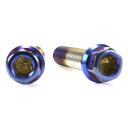 JSM(ジェイエスエム) ヘキサゴンヘッド PVDチタンコート ボルト M8×35mm P1.25mm TA-JSM-BT038TI バイク