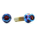 JSM(ジェイエスエム) ヘキサゴンヘッド PVDチタンコート マスタシリンダーキャップ用皿ボルト M4×15mm P0.7 TA-JSM-BT192TI バイ...