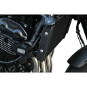 SPEEDRA(スピードラ) ラジエーターサイドカバー 左右セット ドライカーボン 平織艶あり CKA1102PG バイク コアガード・ラジエーターカバー