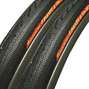 Panaracer(パナレーサー) パセラ ブラックス 700×35C W/O ブラック/ブラック タイヤのみ 8W735-18-B 自転車