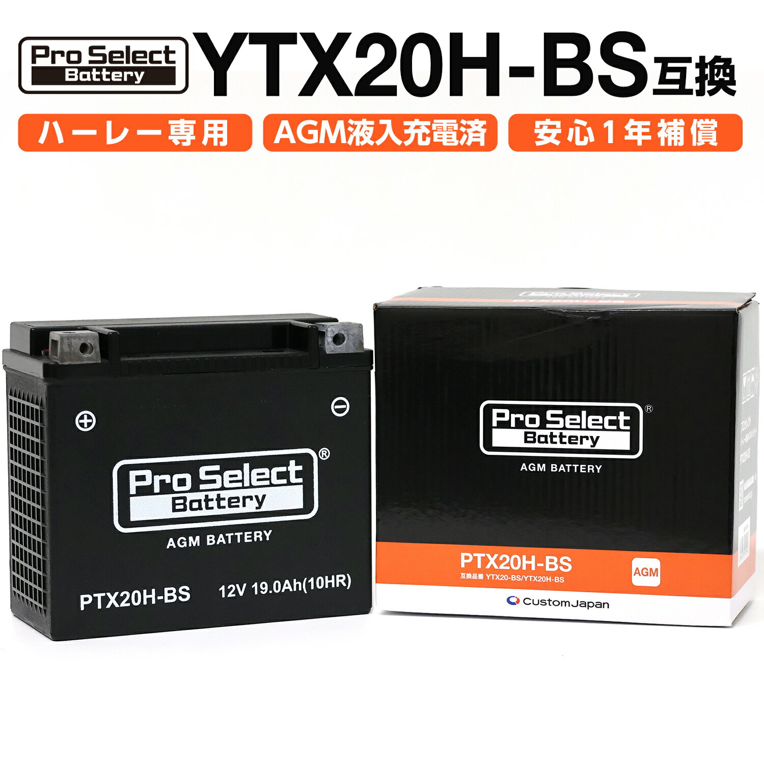 ProSelect(ץ쥯) Х PTX20H-BS ϡ졼AGMХåƥ꡼(YTX20-BS/YTX20H-BSߴ) PSB051 ̩ķMFХåƥ꡼