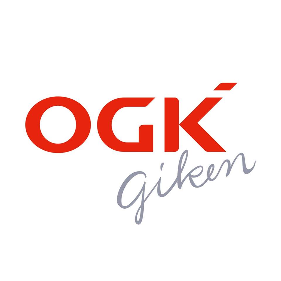 OGK(オージーケー技研) 自転車 子供