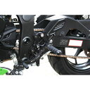 STRIKER(ストライカー) ステップ KIT BK NINJA250SL SS-AA2126B バイク ハブ・ハブシール