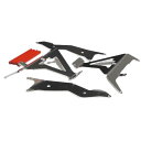 AXP RACING(エーエックスピーレーシング) ラジエターガード AX1598 F2483 バイク コアガード・ラジエーターカバー