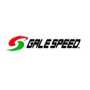 GALE SPEED(ゲイルスピード) パッドスプリング(フロント2Pキャリパー用) 29300118 バイク ブレーキ