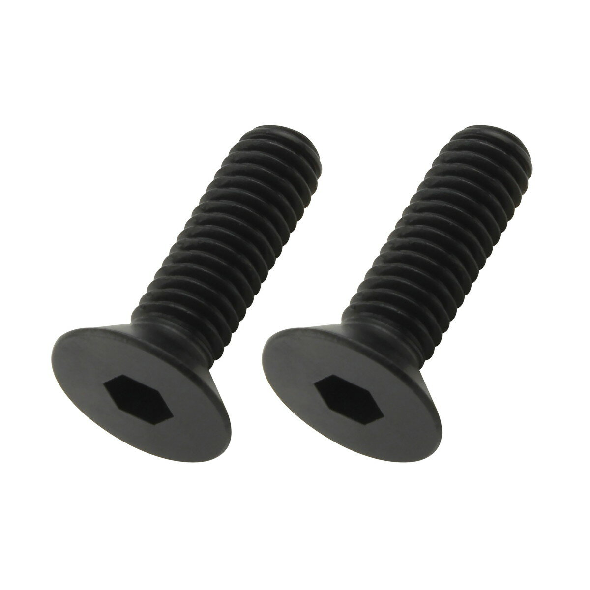 POSH Faith(ポッシュフェイス) 皿キャップボルト M6×20mm ブラック 2本入 990620-K2 バイク