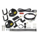 SP武川(SPタケガワ) LEDフォグランプキット3.0(950/レモンイエロー) 2個入 クロスカブ50/110 05-08-0666 バイク
