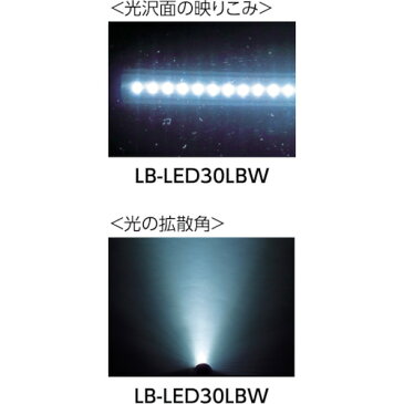 取寄 耐薬品・防雨型 LB-LED30LCW 3WLEDコードレスライトセット(防雨・耐薬外筒仕様) 嵯峨電機工業 耐薬品・防雨型 1台