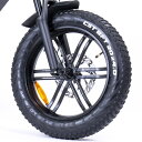 CST(チェンシン) C1752 20×4.0 フロント/リア(eXs e-Bike MotoLike用) 自転車