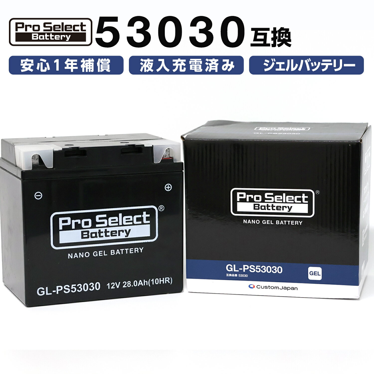 ProSelect(プロセレクト) バイク GL-PS53030 BMW専用ジェルバッテリー(53030 互換)(ジェルタイプ 液入充電済) PSB178 密閉型MFバッテリー