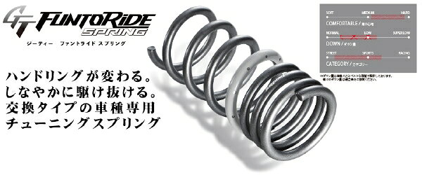 TANABE ヴェゼル RU1 GT ファントライド スプリング 1台分セット