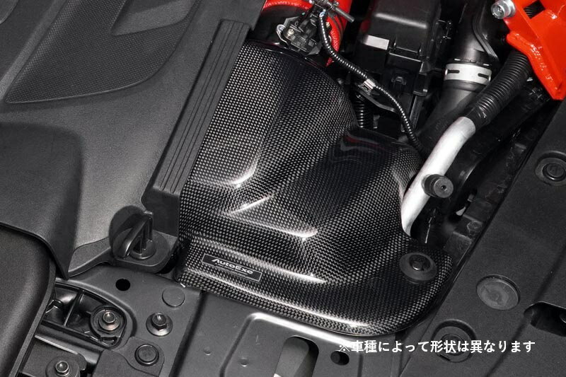 オートエクゼ アクセラ BLEFW/BLEFP ラムエアインテークシステム BLA2V5900