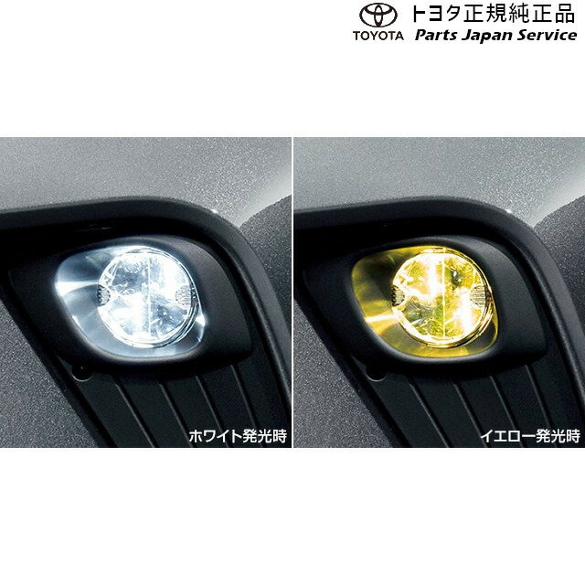 10系シーエイチアール バイカラーLEDフォグランプ(切り替え式)(設定1) トヨタ ZYX11 NGX10 NGX50 10CH-R TOYOTA