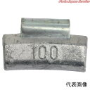 TB・大型打込ウエイト(TW)50G 8TWS-50