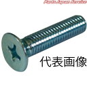 (+)皿ビス10×75CM全ネジ 4612-S1075