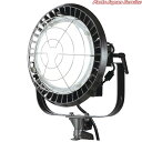 サンフラワー300LED投光器 LE-3005KD