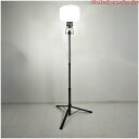 LEDミニバルーンライトマイノウミー三脚付 LBA-150LN-G