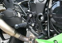 STRIKER（ストライカー） Ninja250SL スペシャルステップキット SS-AA2126B