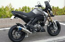 WR'S Kawasaki Z125PROp `^V[gI[oĂFTCT[/tGL][Xg LS4110JM