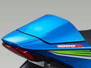 SUZUKI GSX-R1000R ABS シングルシートカウル 45550-17811-※※※