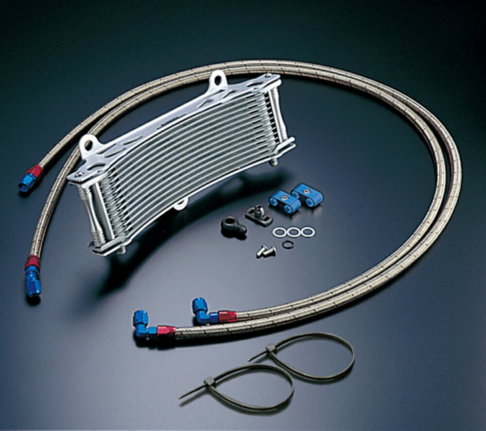 ACTIVE ZEPHYR1100/1100RS �����륯���顼���å� (�����ɲ���) �饦��� #6 11-13R (�������б����å�) ...