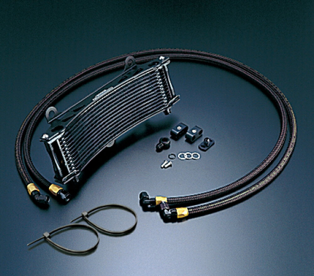 ACTIVE ZEPHYR1100/1100RS �����륯���顼���å� (�����ɲ���) �饦��� #6 11-13R �֥�å����� AC14...