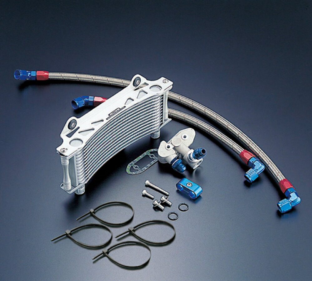 ACTIVE GSX1100S オイルクーラーキット (サイド廻し) ラウンド #6 9-10R ブラック仕様 AC14035310B