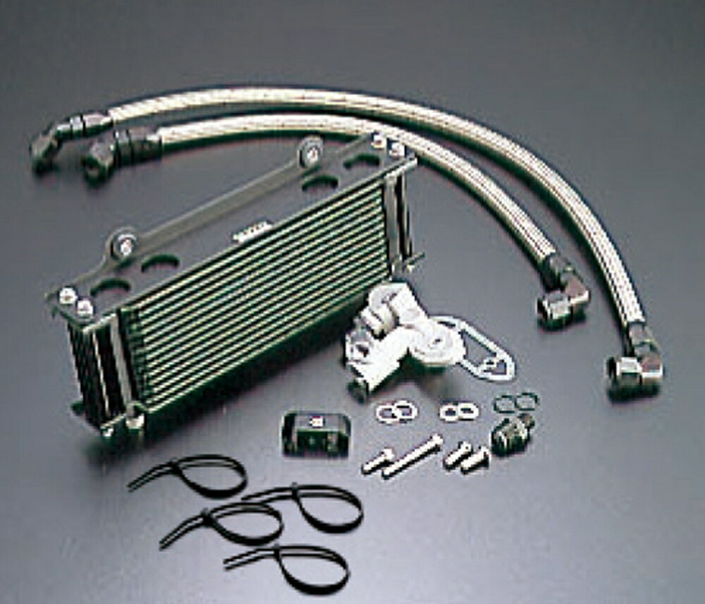 ACTIVE GSX1100S �����륯���顼���å� (�����ɲ���) ���ȥ졼�� #6 9-10R AC14055120