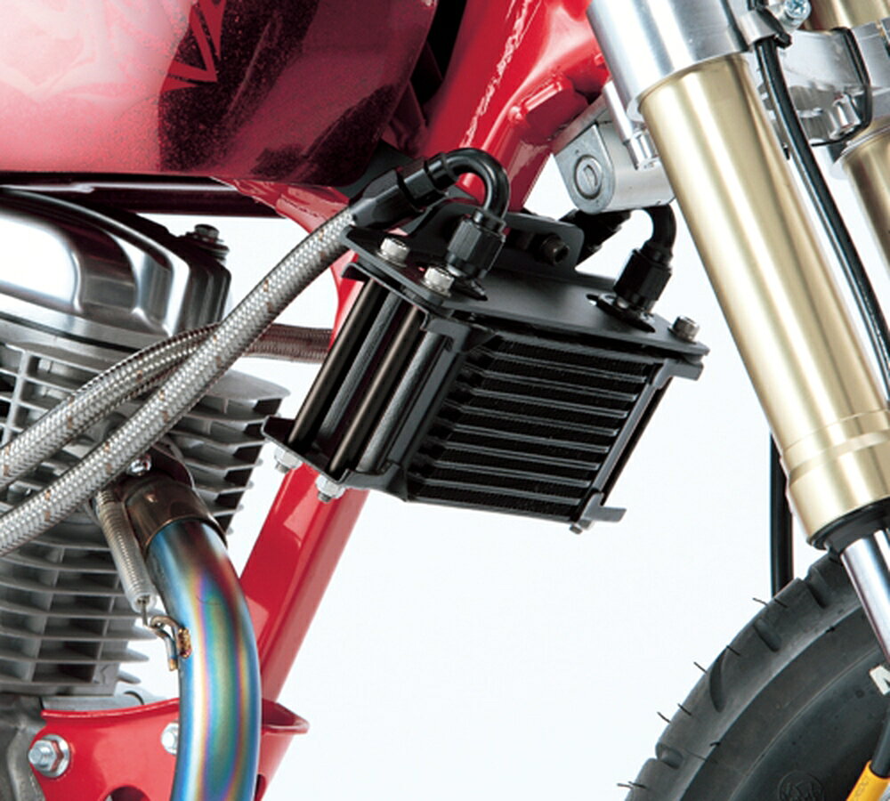 ACTIVE APE100/50 オイルクーラーキット (横) ストレート #6 4.5-7R シリンダー取...