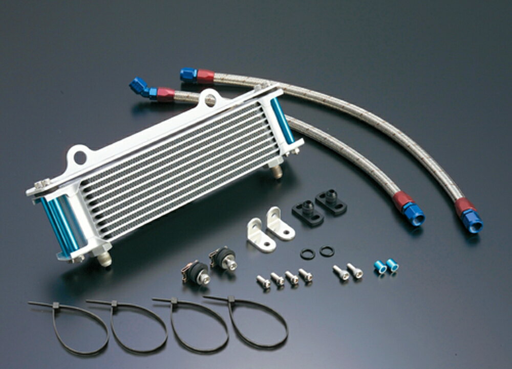 ACTIVE GPZ750/750F オイルクーラーキット (下出し) ストレート #6 9-10R AC14057120