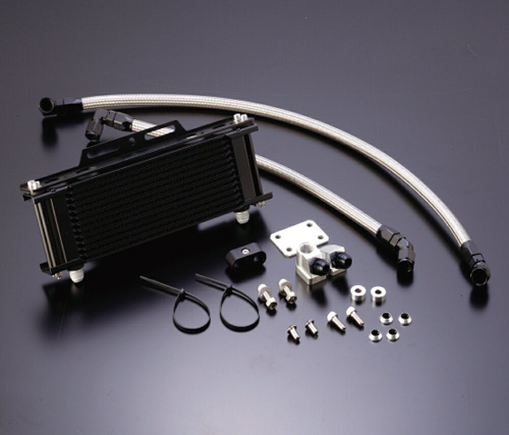 ACTIVE Z1000J Z1000R オイルクーラーキット (下出し) ストレート #8 9-10R AC14058710