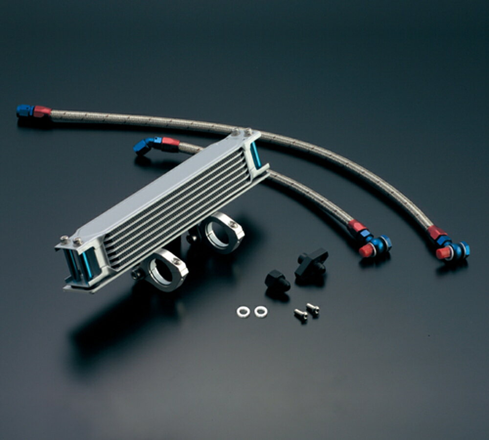 ACTIVE SR500 SR400 オイルクーラーキット (縦) ストレート #6 9-7R AC14054207