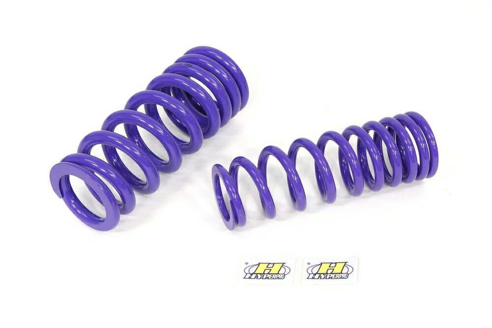 HYPERPRO BMW R1250GS コンビキット (フロント＆リアスプリング) 22094272