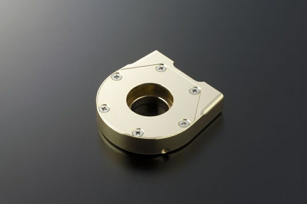 ACTIVE GSX-R600 スロットルキット TYPE-2 Tゴールド 巻取φ36 (ステン金具) 1069053SU