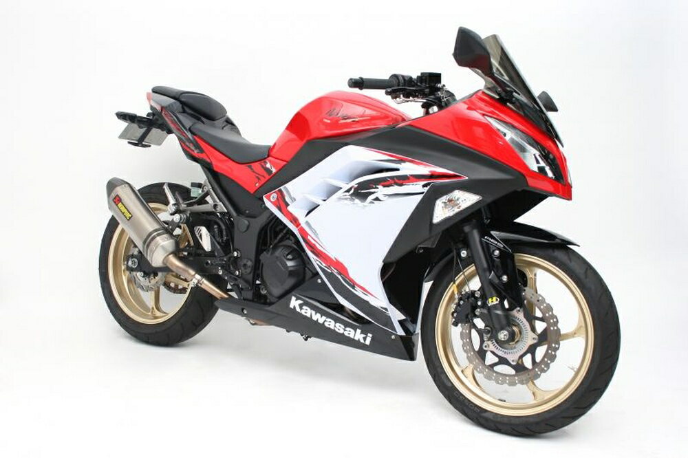 GALE SPEED Ninja250/ABS Ninja250R Ninja250SL Z250/ABS アルミ鍛造ホイール (TYPE-GP1S) R 400-17 ソリッドホワイト 中空ハブタイプ 28870171SW 2