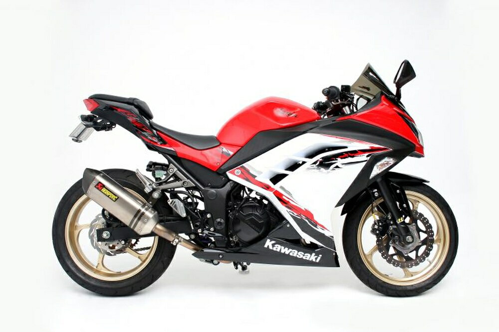 GALE SPEED Ninja250/ABS Ninja250R Ninja250SL Z250/ABS アルミ鍛造ホイール (TYPE-GP1S) R 400-17 ソリッドホワイト 中空ハブタイプ 28870171SW 3