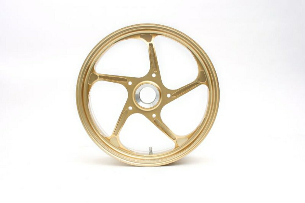 GALE SPEED DUCATI MONSTER/S2R/S4R/S4RS アルミ鍛造ホイール (TYPE-GP1S/モノアーム用) R 600-17 半ツヤブラック リムセンター2mmオフセット仕様 29191164