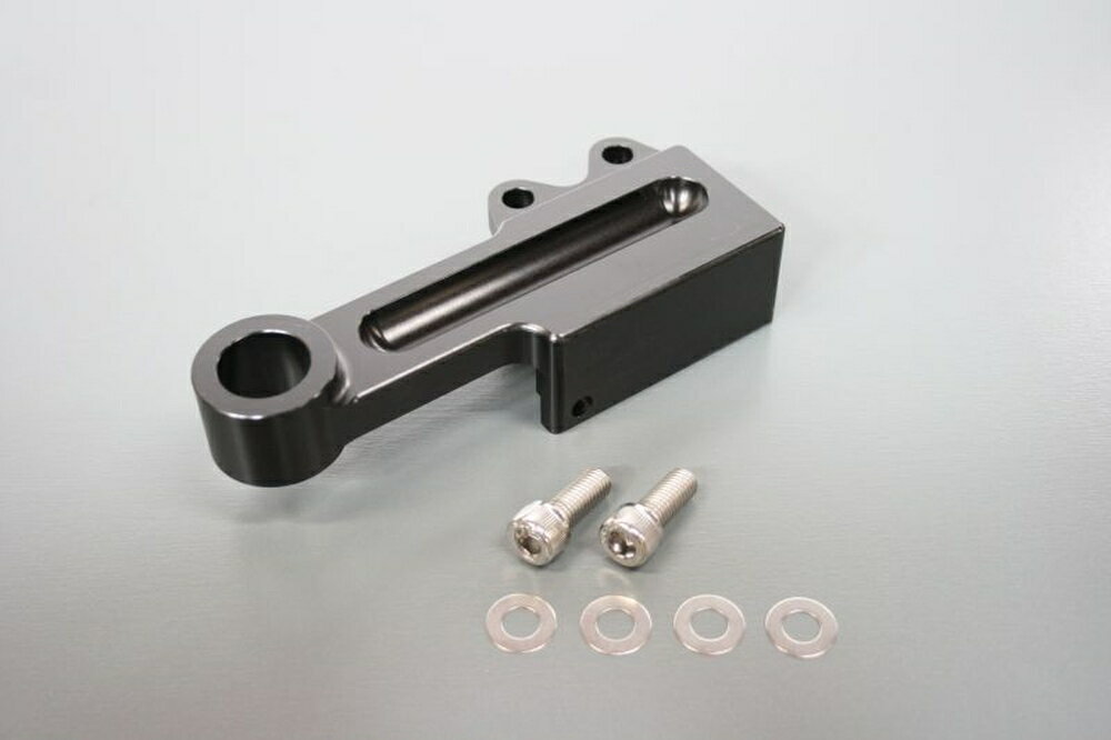 ACTIVE HARLEY DAVIDSON SPORTSTER XL883 リアキャリパーサポート ブラック (brembo 40mmピッチ 左側用＆スタンダードローター径対応) 1470068B