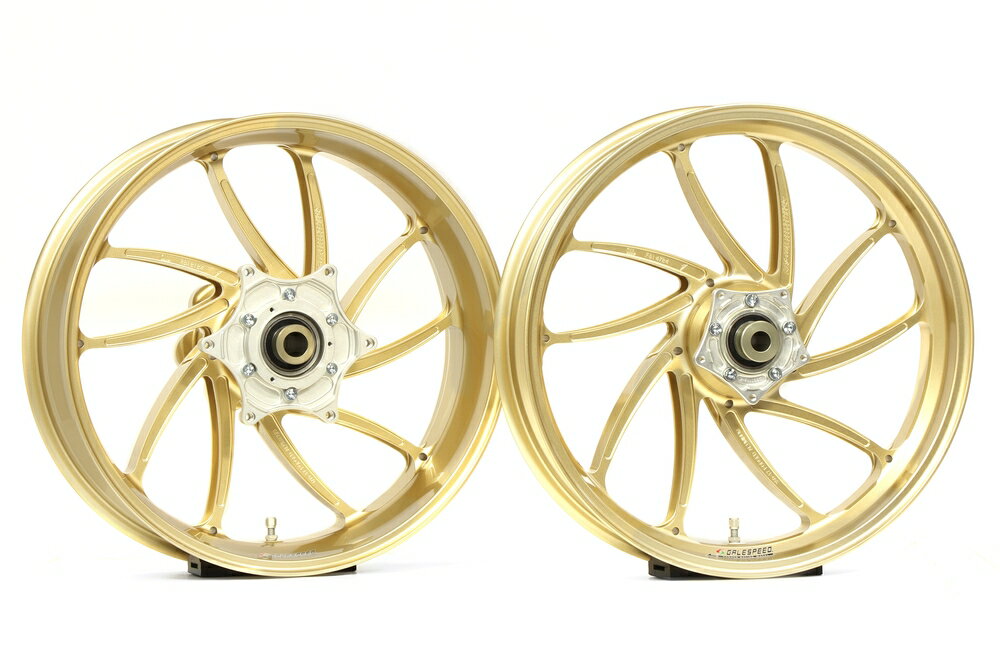 GALE SPEED GSX1300R/ABS アルミ鍛造ホイール (TYPE-SB1) R 600-17 ゴールド 29255134