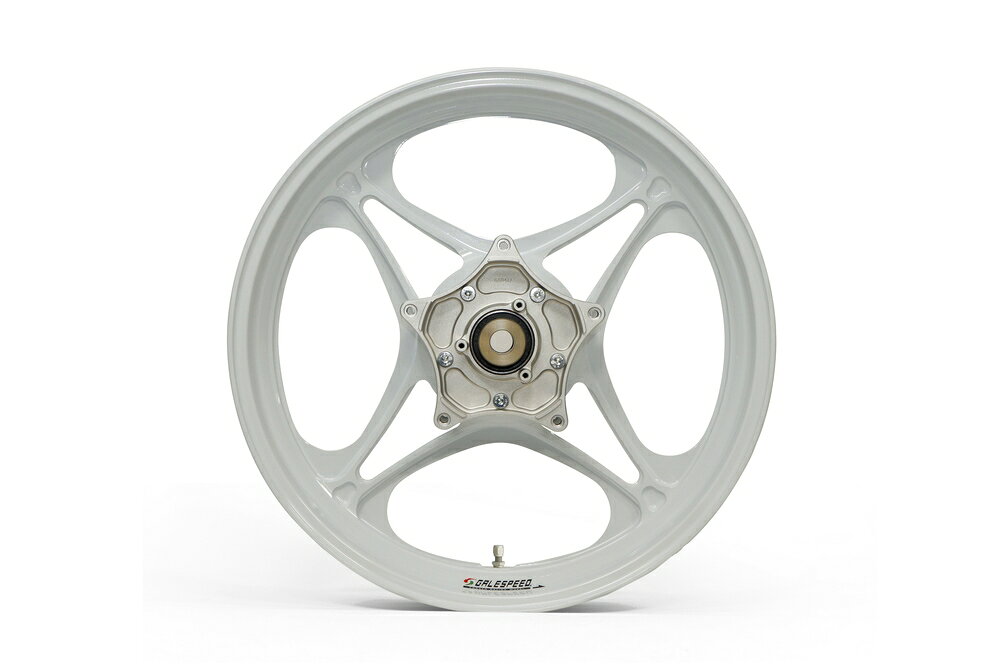 GALE SPEED XJR1300/1300C アルミ鍛造ホイール (TYPE-J) リア 600-17 ソリッドホワ...