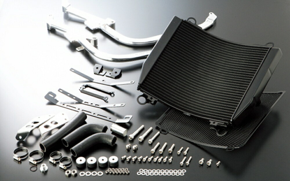 ACTIVE GPZ900R/750R ビッグラジエーターキット (TYPE-2) ブラック 5057022B