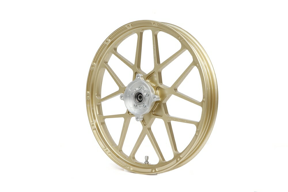 GALE SPEED CT125 �ϥ󥿡����� �������¤�ۥ����� (TYPE-X) R 185-17 ������� 29615101