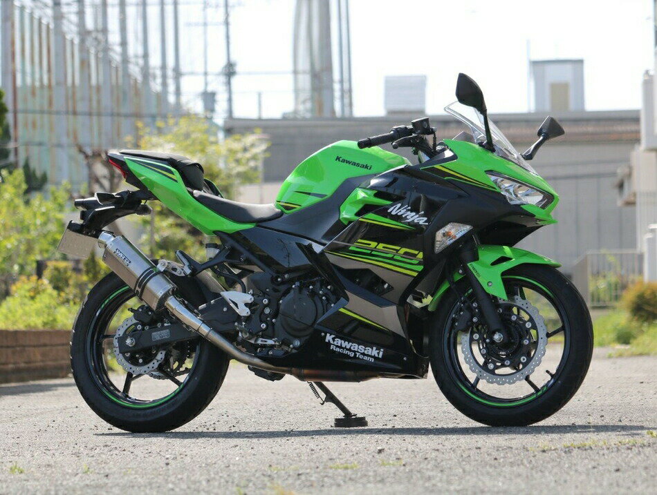 WR'S Kawasaki 2018 Ninja250 ニンジャ 2BK-EX250P チタンオーバル ソリッド タイプ スリップオンサイレンサー OV4270JM