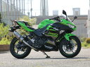 KAWASAKI 2018 Ninja250 ニンジャ　2BK-EX250P WR'S チタンオーバル ソリッド タイプ スリップオンサイレンサー OV4270JM