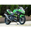 WR 039 S Kawasaki Ninja250 2018- SS-OVALソリッドタイプ スリップオンサイレンサー SK4270JM