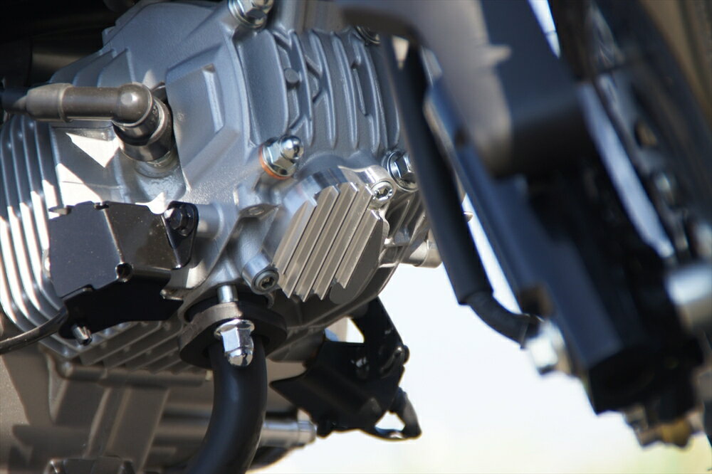 Gクラフト モンキー125 タペットフィンカバー シルバー 31273