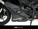 ACTIVE Kawasaki Ninja ZX-25R t[XC_[iI[oj 1133707